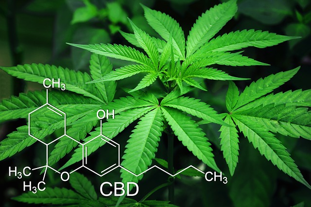 What is CBD Cannabidiol or Hemp?